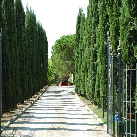Villa Panconesi Montespertoli Exterior foto